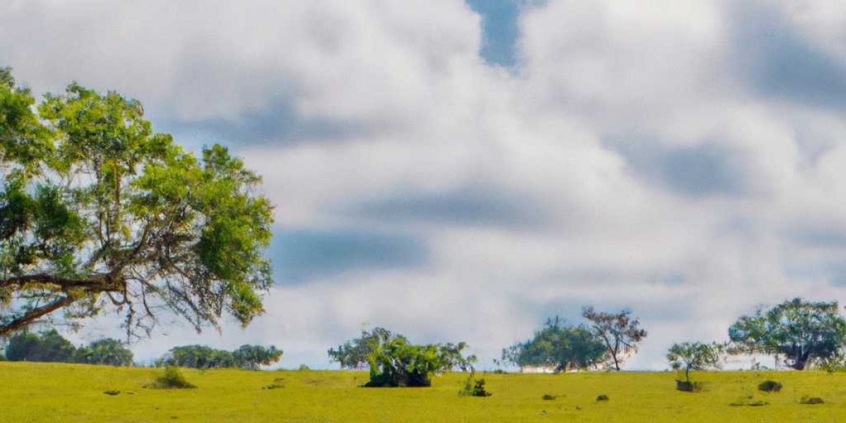 Discover the Top 5 Most Breathtaking Countries in Africa